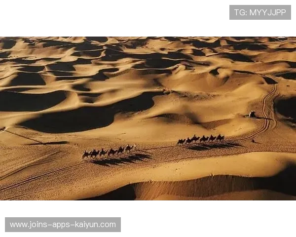 流浪者通过直塞不断深入腹地的旅程：一场关于装备与自由的软文